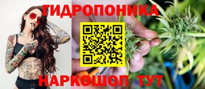 гашик Ярцево