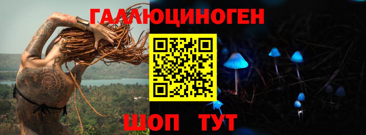 Галлюциногенные грибы Cubensis  Вход с VPN  закладка  Заволжье 